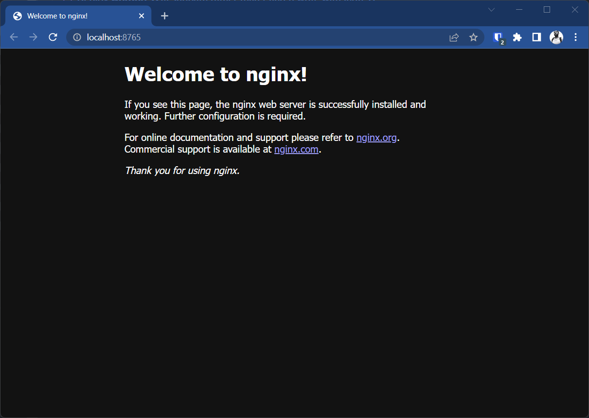 nginx running in the browser