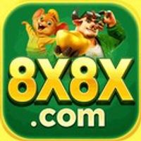 8x8x