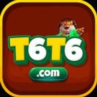 t6t6
