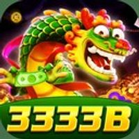 3333b