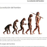 evolucionhombre