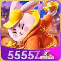 5555z 1