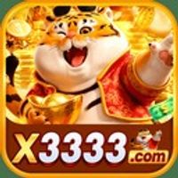 x333 1