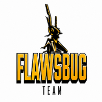 flawsbugtech
