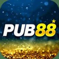 pub88 6
