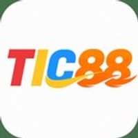 tic88 6