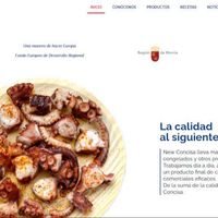 newconcisa