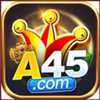 a45 4